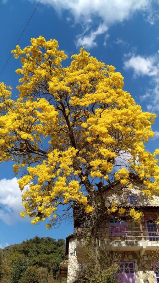São Tomé das LetrasRepouso Sol别墅 外观 照片